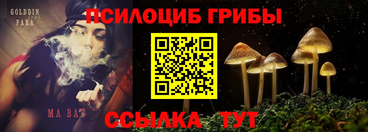 Галлюциногенные грибы MAGIC MUSHROOMS  Вход с VPN  Псилоцибиновые грибы ЛСД  Муром 